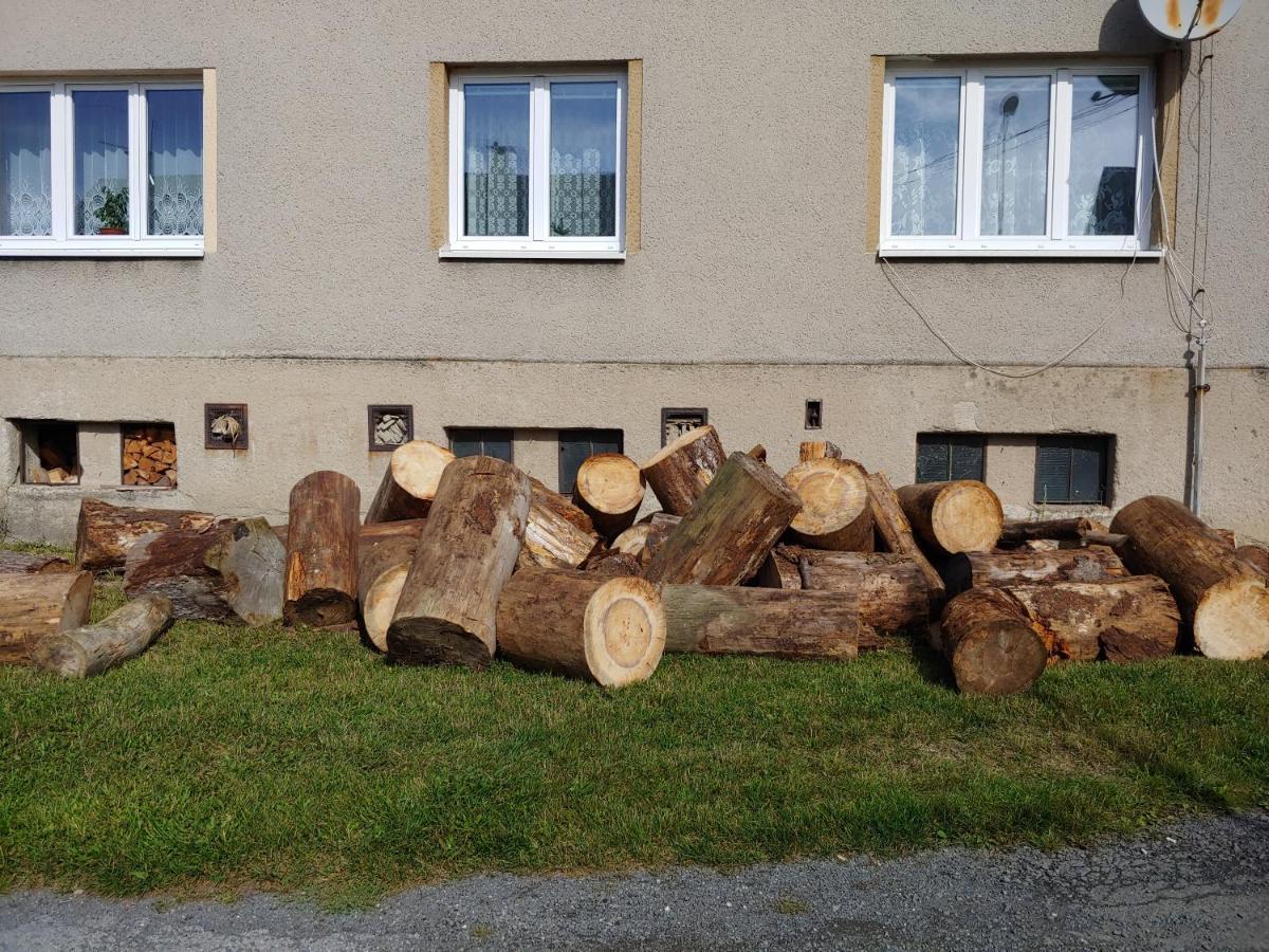 Ferienwohnung Marta P Detrichov Nad Bystrici Exterior foto